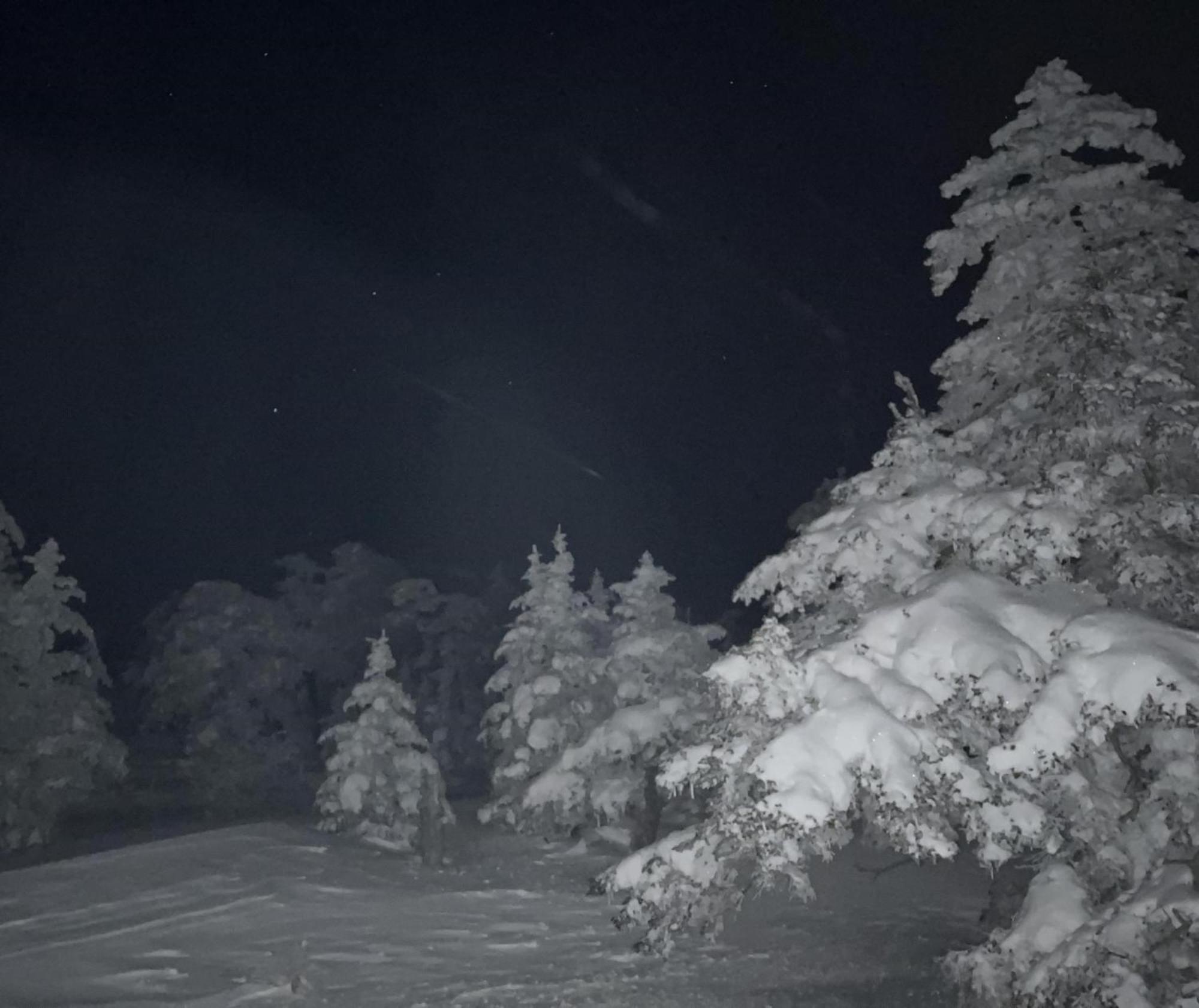 Sachinoyu Hotel Shiga Kogen Яманоуті Екстер'єр фото