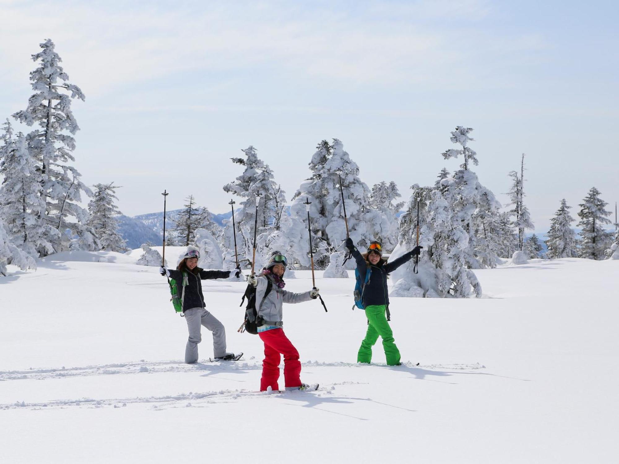 Sachinoyu Hotel Shiga Kogen Яманоуті Екстер'єр фото