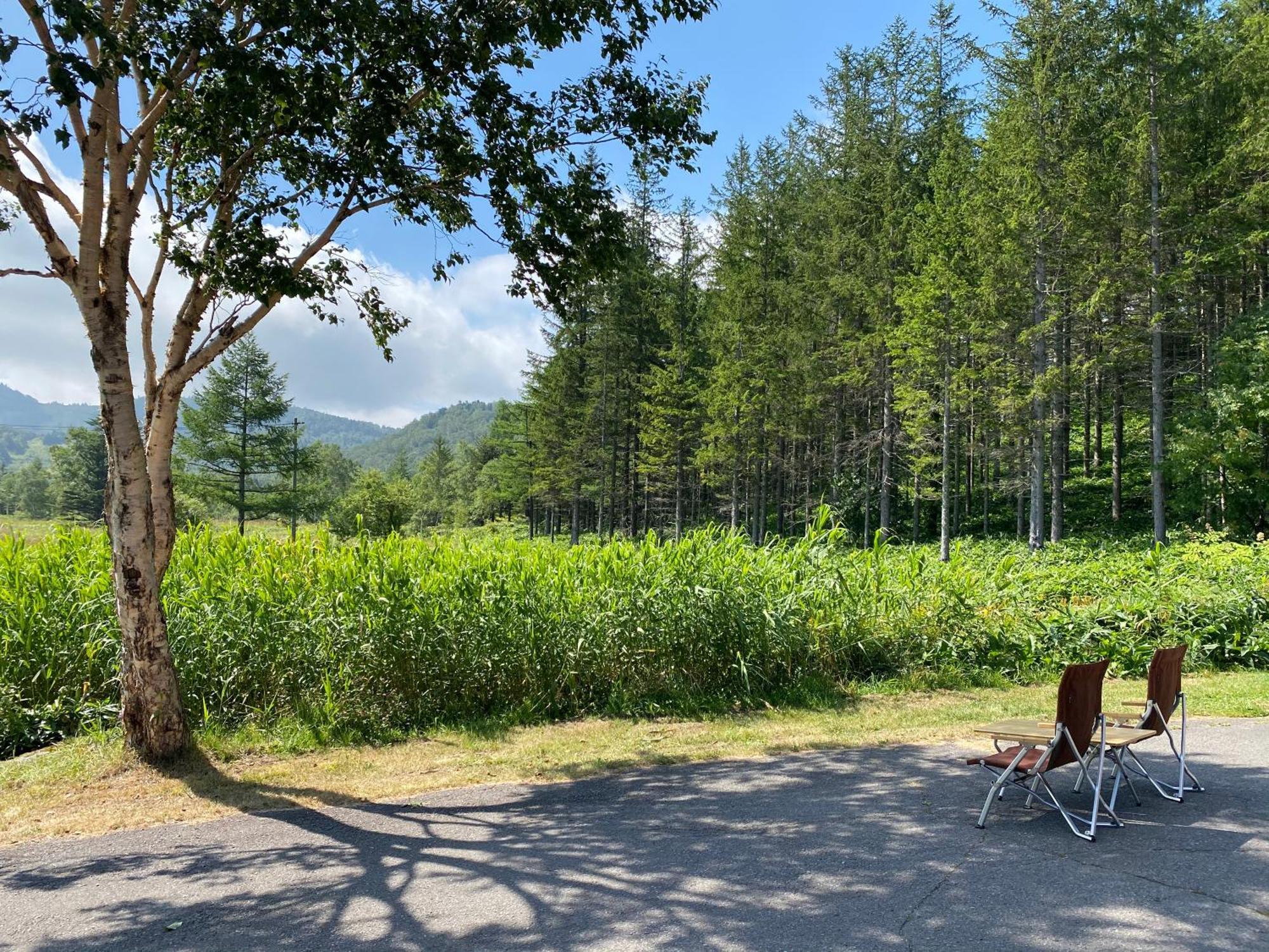 Sachinoyu Hotel Shiga Kogen Яманоуті Екстер'єр фото